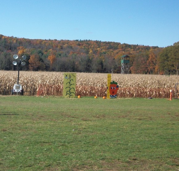 Fall Party Games For Kids| Corn Maze