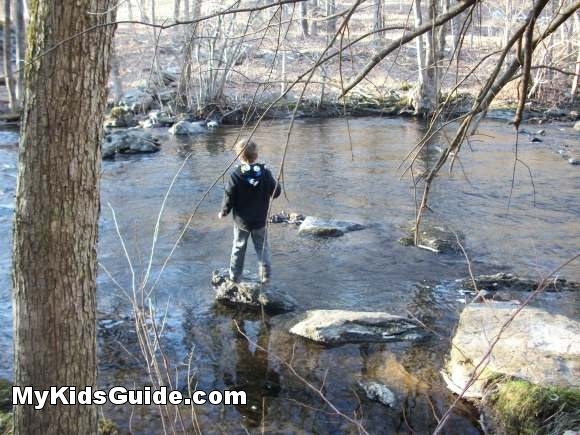 Fitness Activities for Kids: Exploring Outdoors