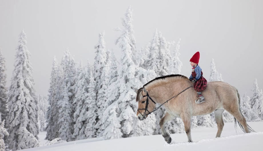 Holiday Books for Kids Christmas Wish