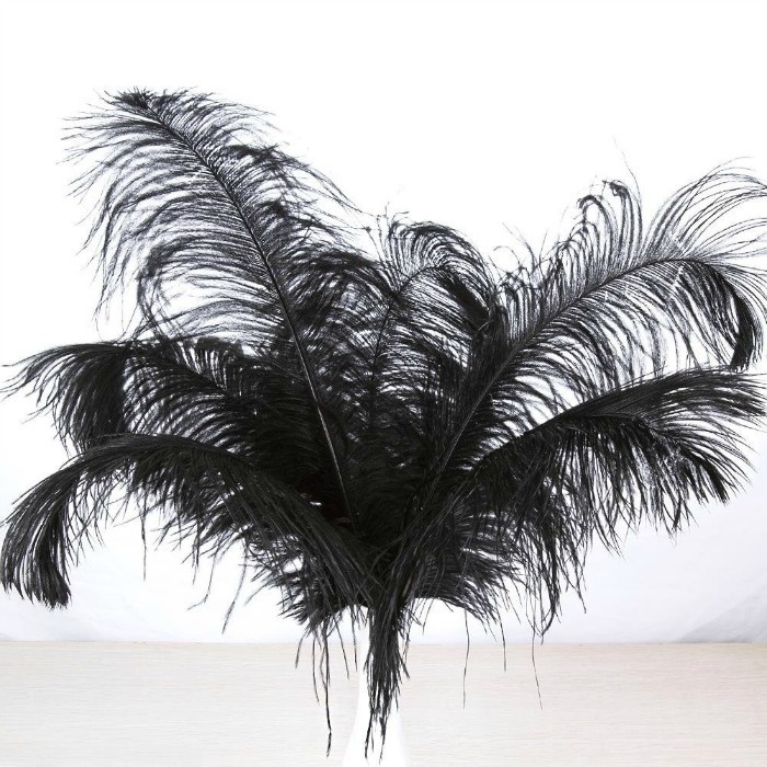 Roaring 20s Prom Night Party Ideas: Large Ostrich Feathers